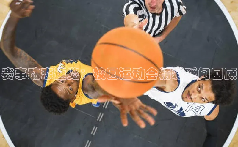 星空综合(中国)官方网站