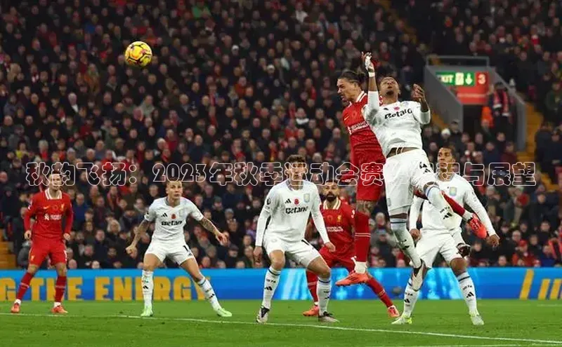 星空手机网页版登录入口