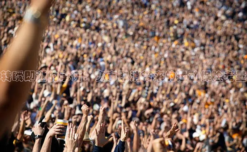 星空·体育综合APP下载官网