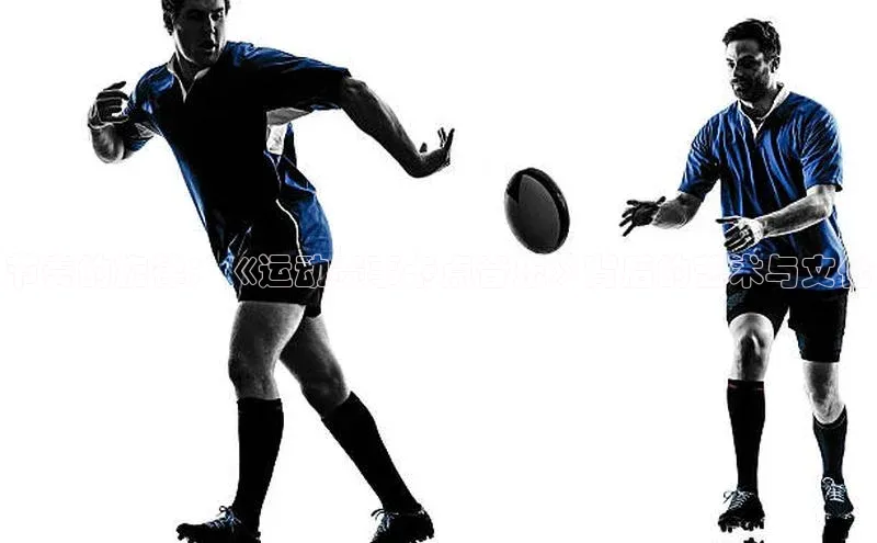 星空官网登录入口