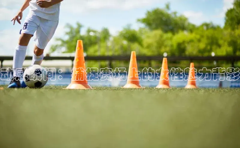 星空app登录入口官网